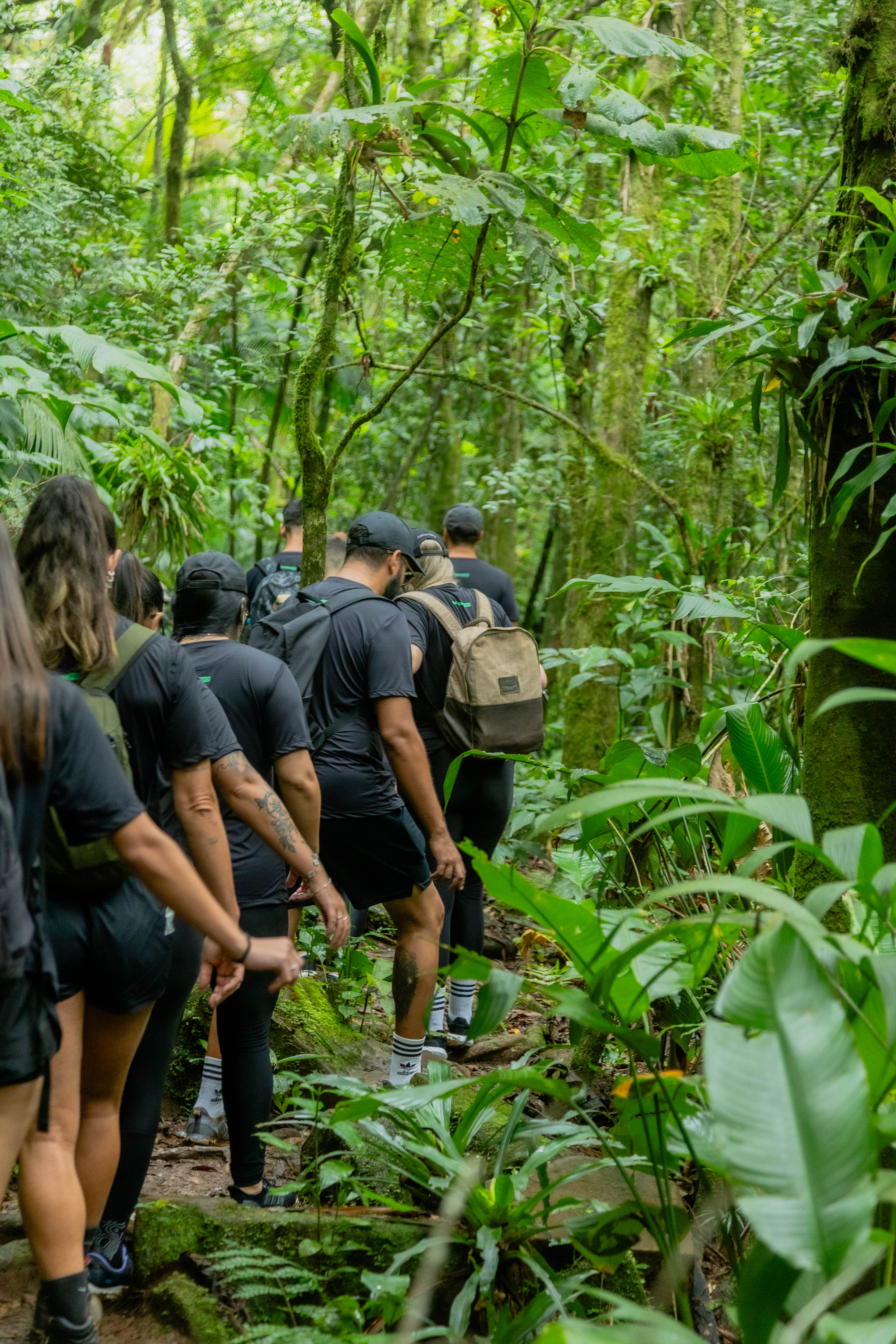 Trilha Cachoeira da Cortina Time Gandhi - Foto 5